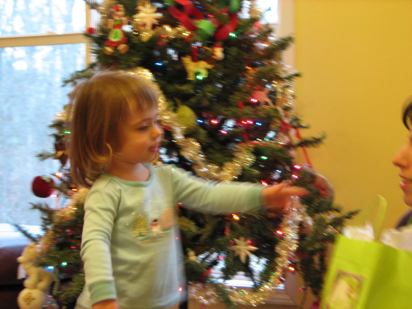 Early Christmas 2008