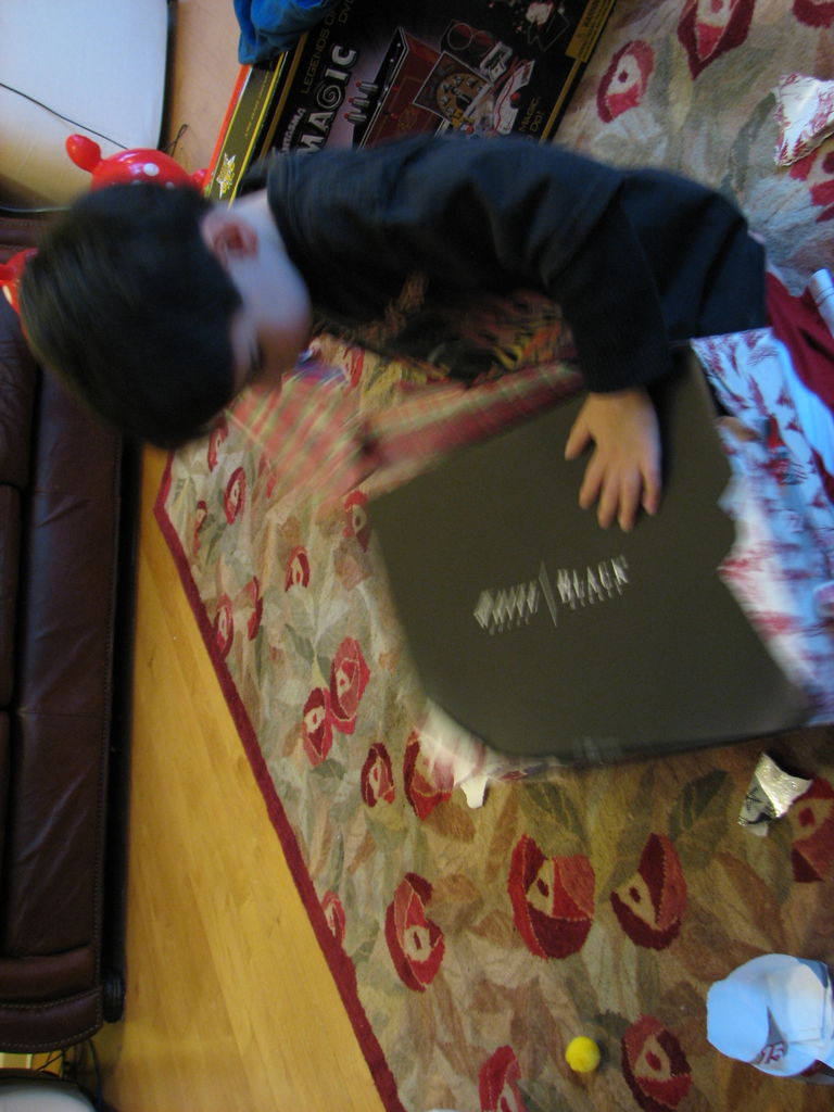 Early Christmas 2008