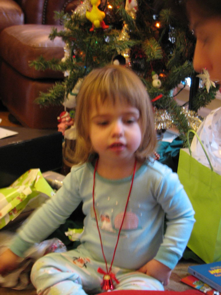 Early Christmas 2008