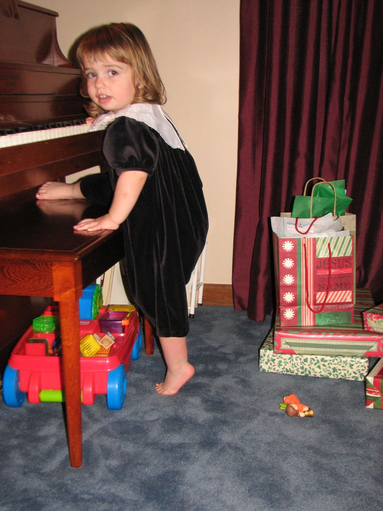 School Christmas Party