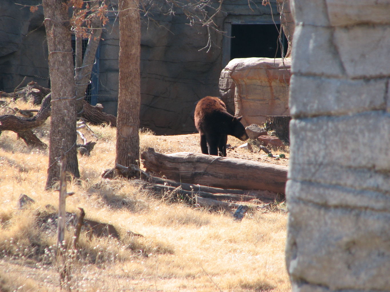 Trip to the Zoo