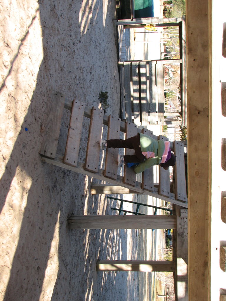 February 3, 2009