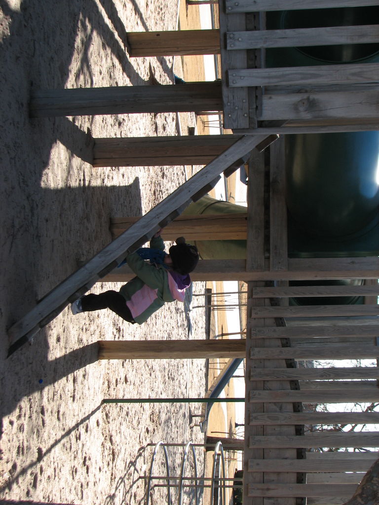 February 3, 2009