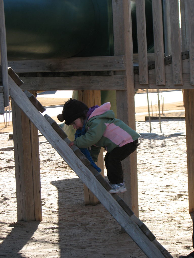 February 3, 2009