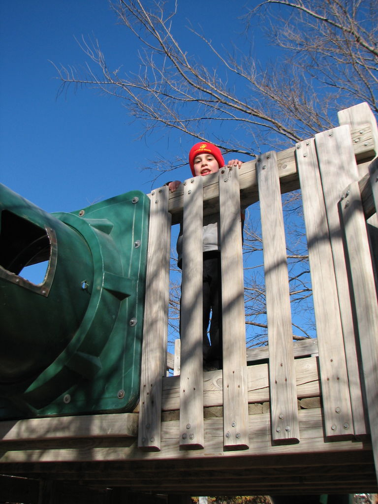 February 3, 2009