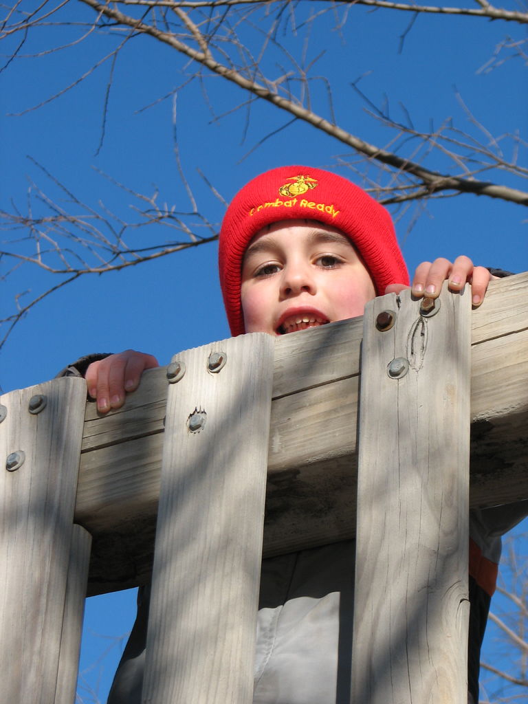 February 3, 2009