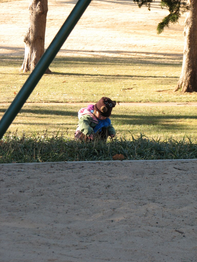 February 3, 2009