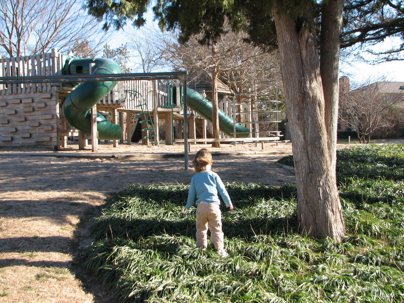February 5, 2009