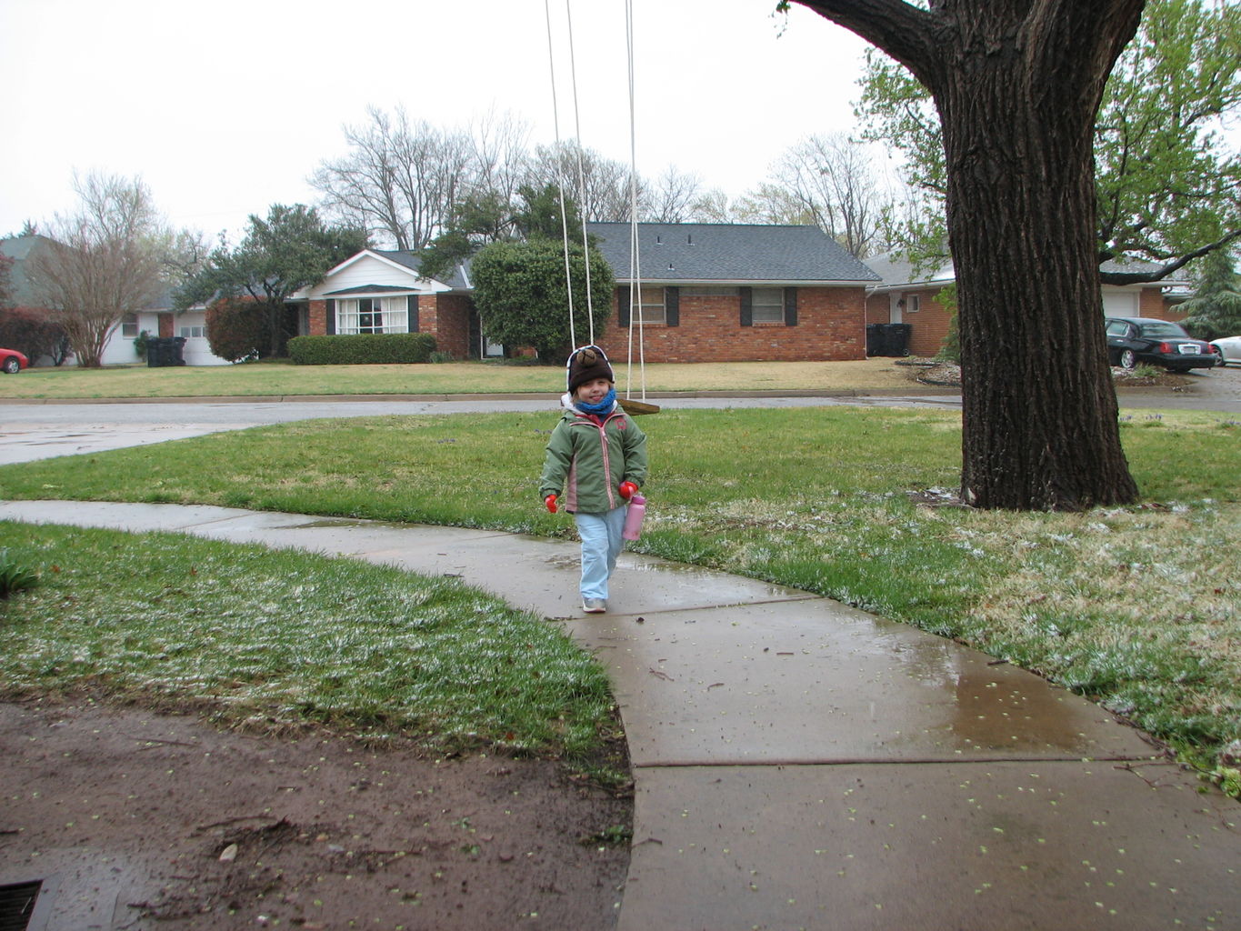 Snow in March