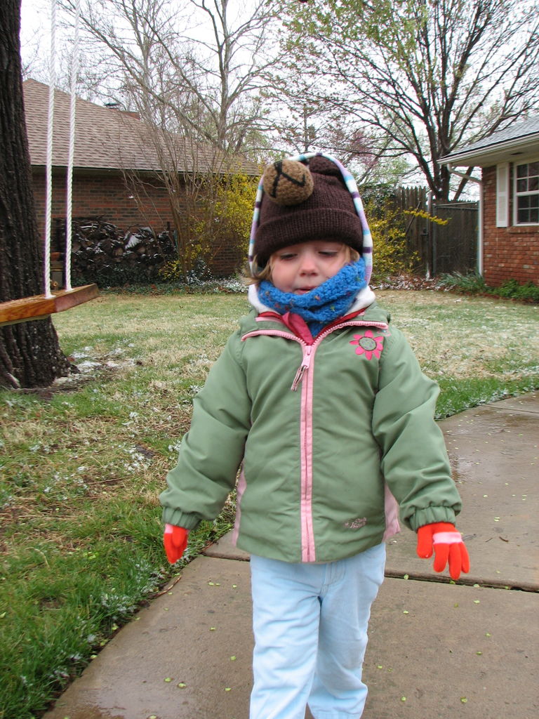 Snow in March