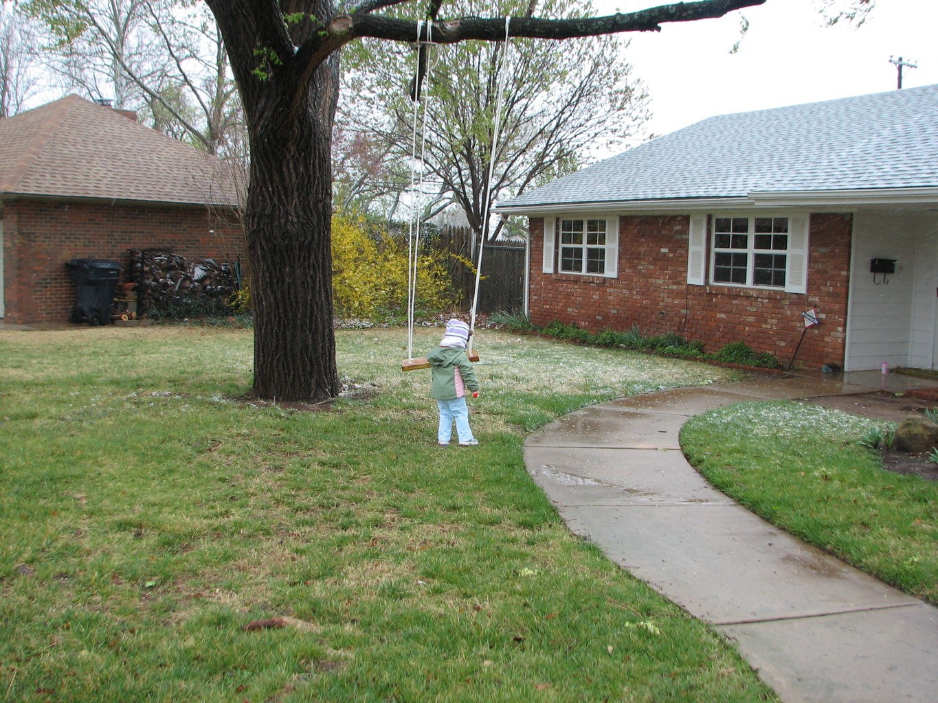Snow in March
