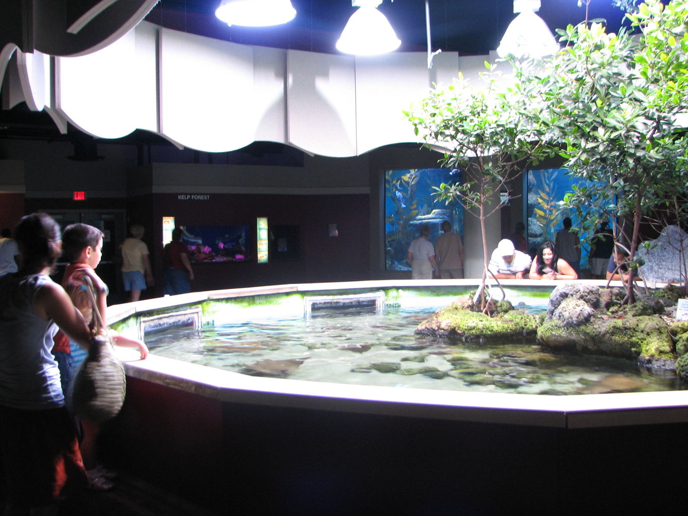 Oklahoma Aquarium