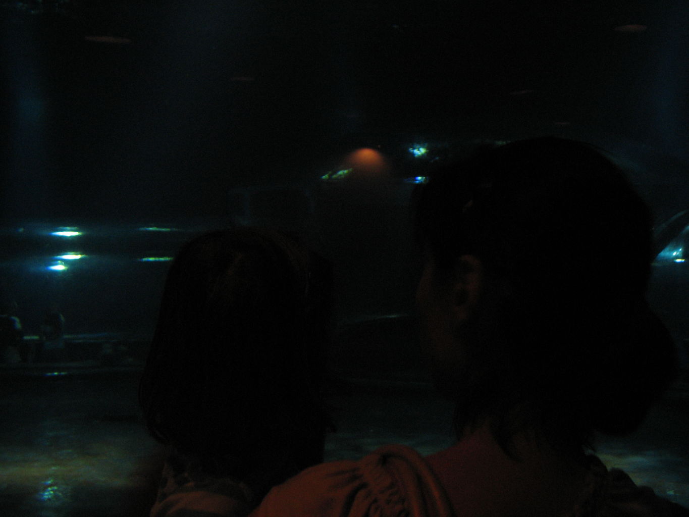 Oklahoma Aquarium