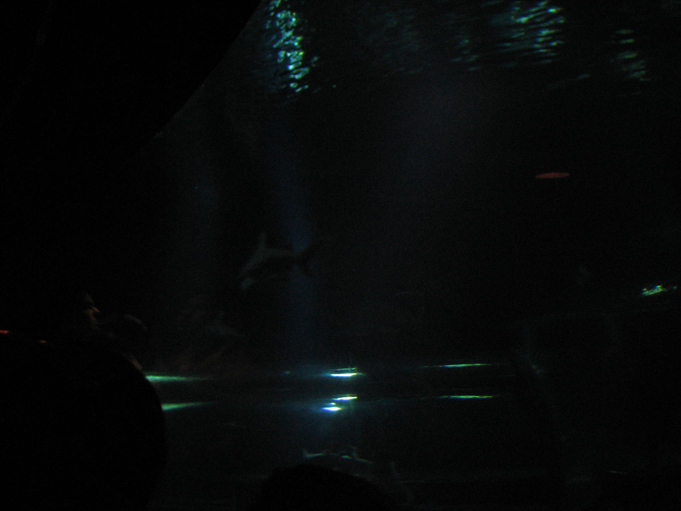 Oklahoma Aquarium