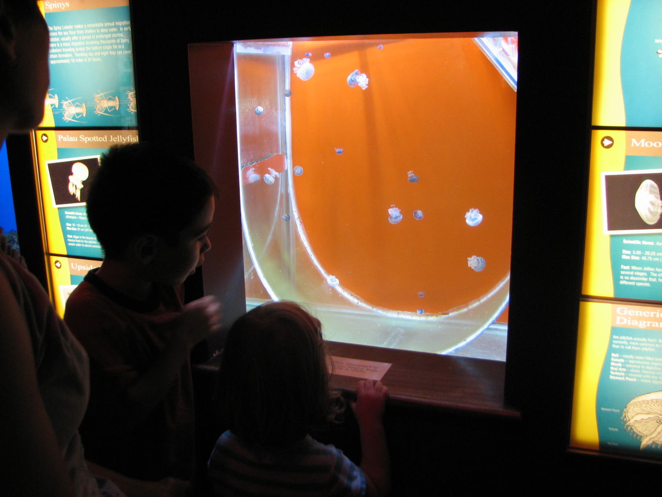 Oklahoma Aquarium