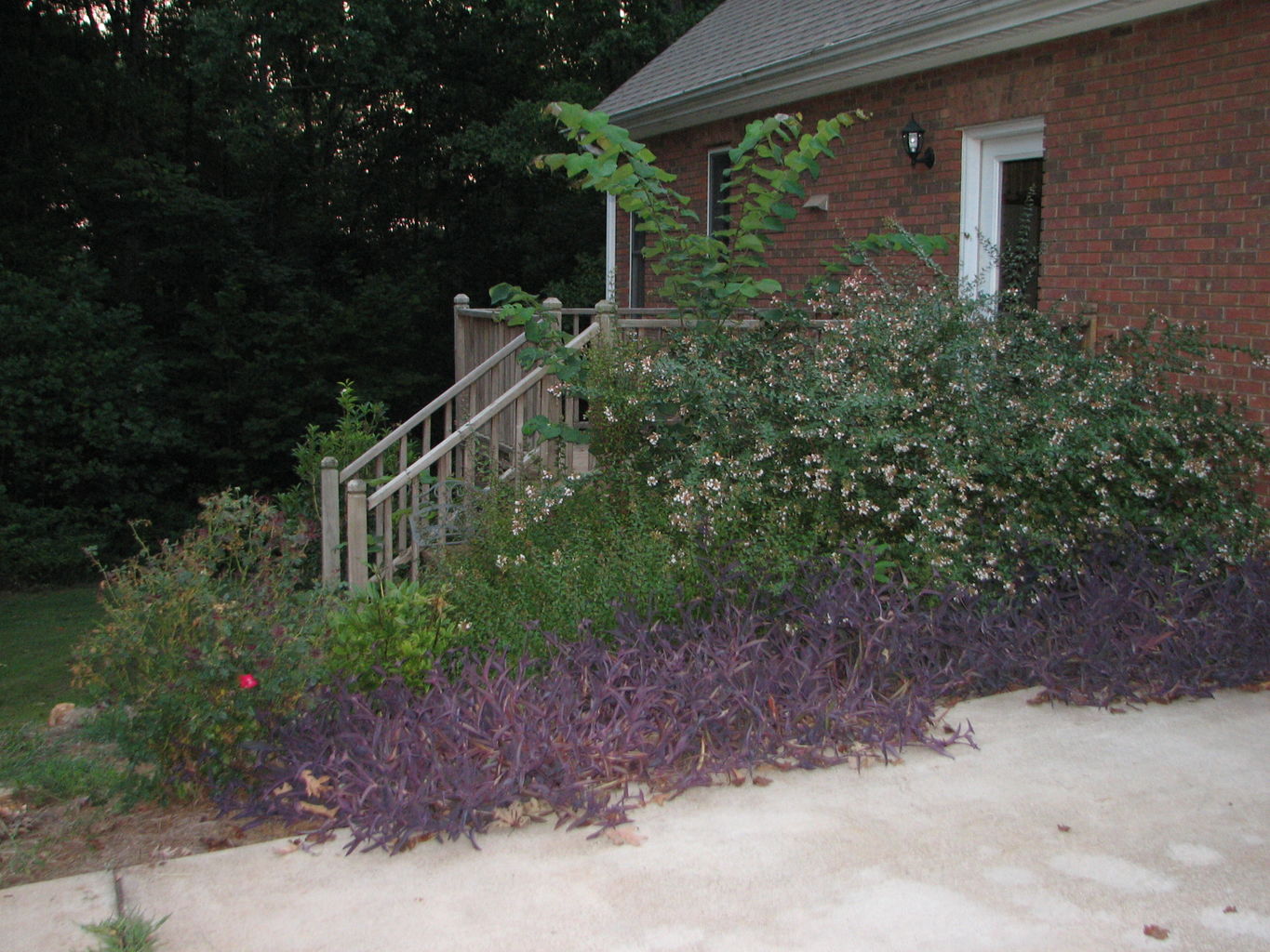 Visit to River Ridge