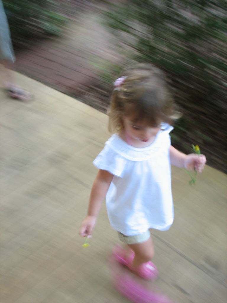 2009-08-13