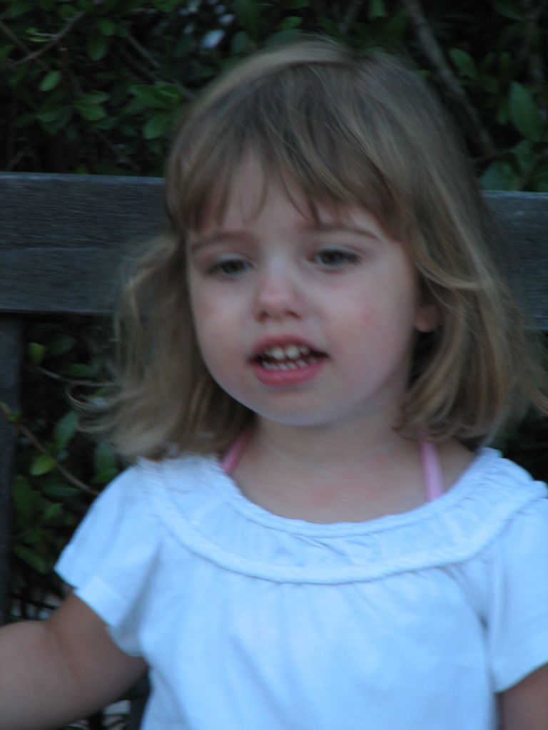 2009-08-13