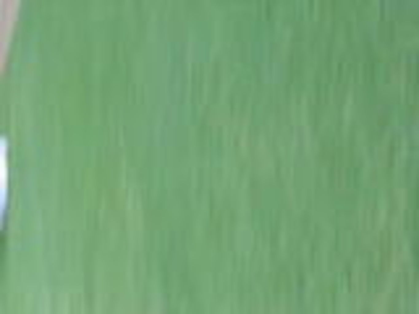 2009-08-13