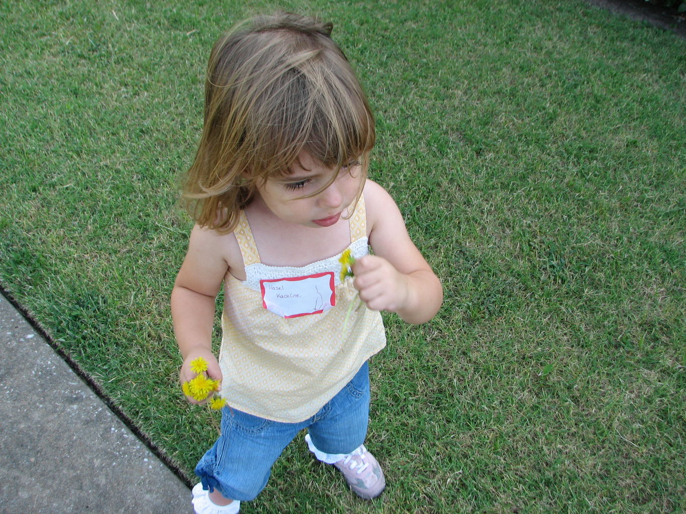 2009-09-08