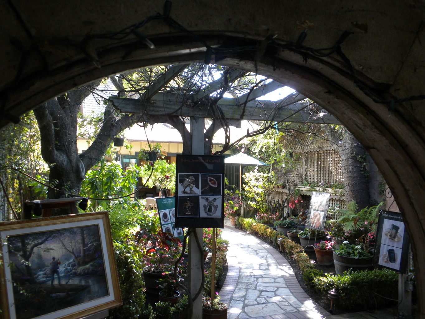 Mike's Trip to Monterey