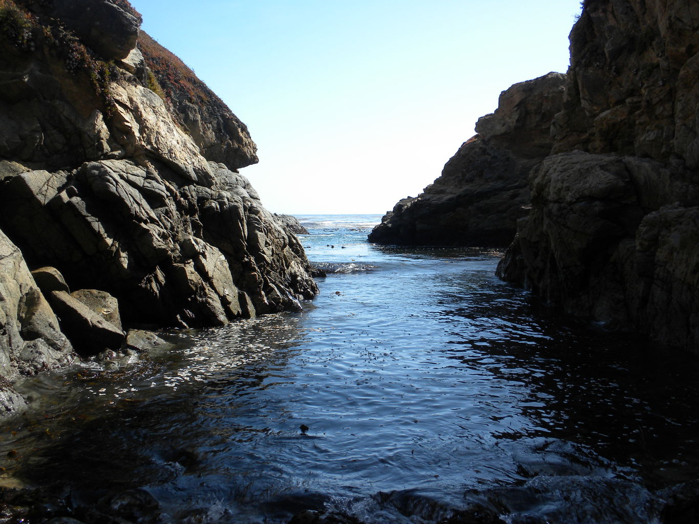 Mike's Trip to Monterey