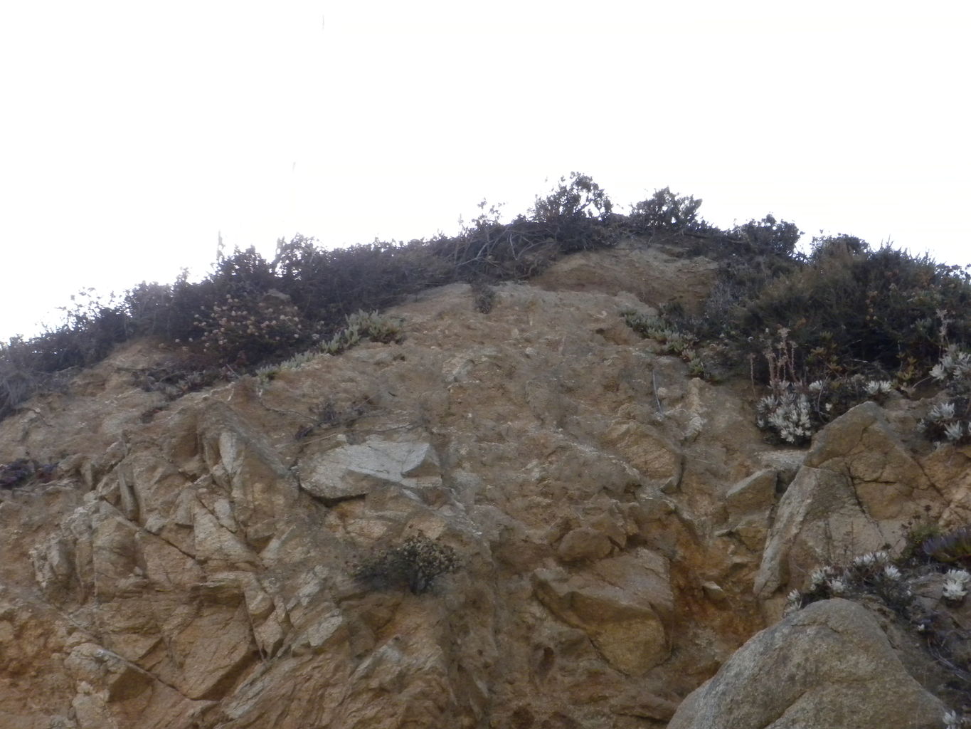 Mike's Trip to Monterey