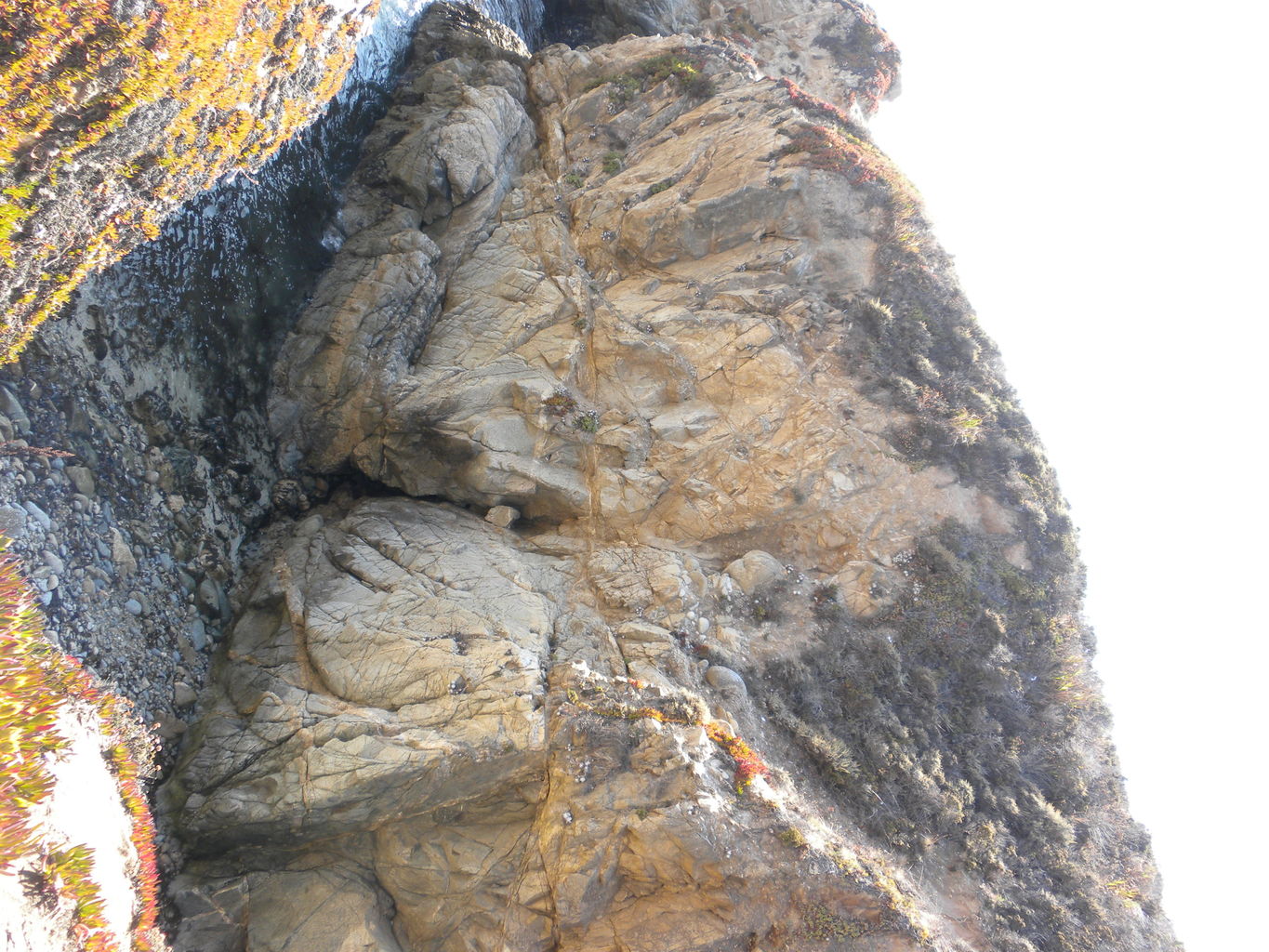 Mike's Trip to Monterey