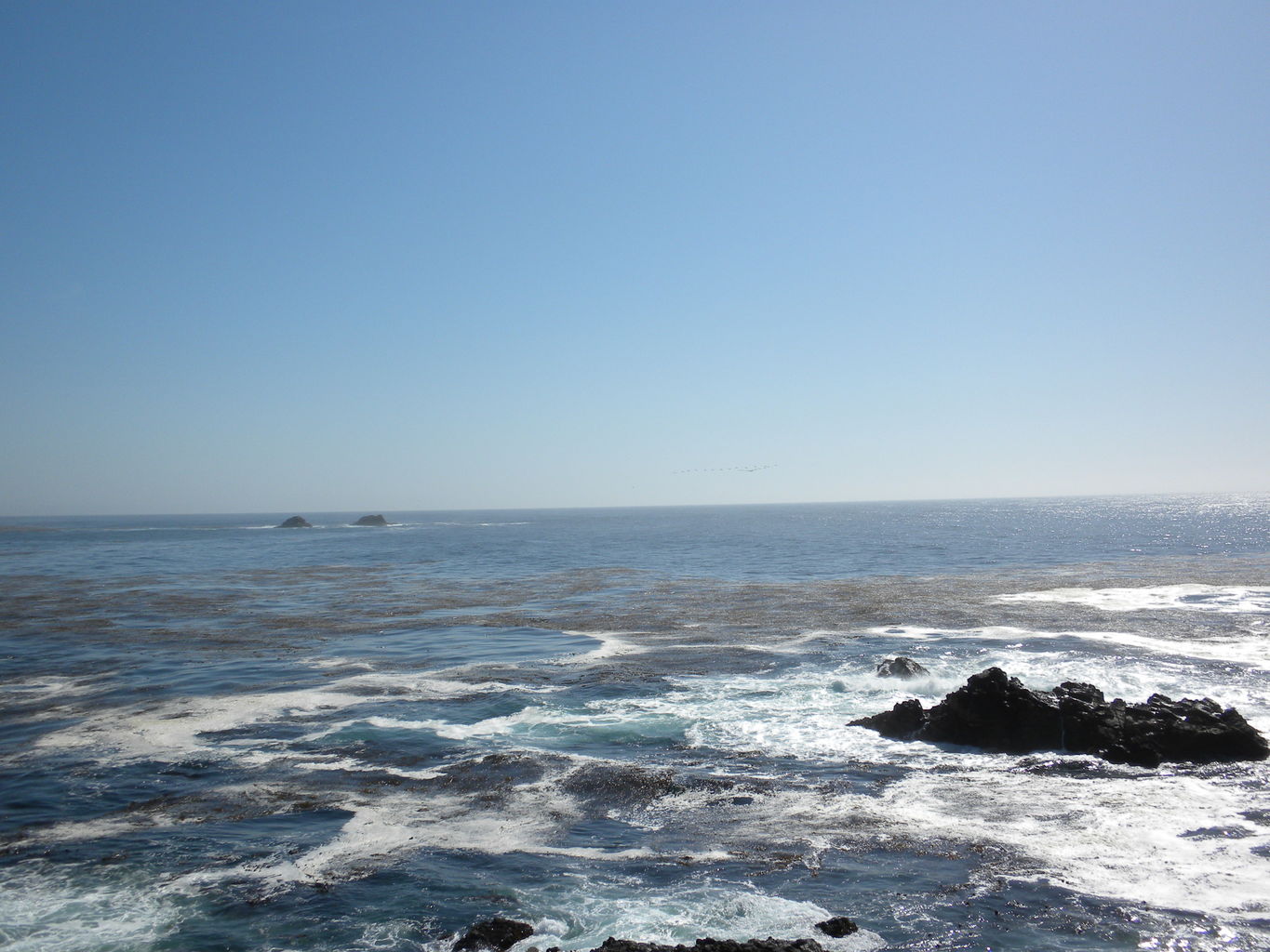 Mike's Trip to Monterey