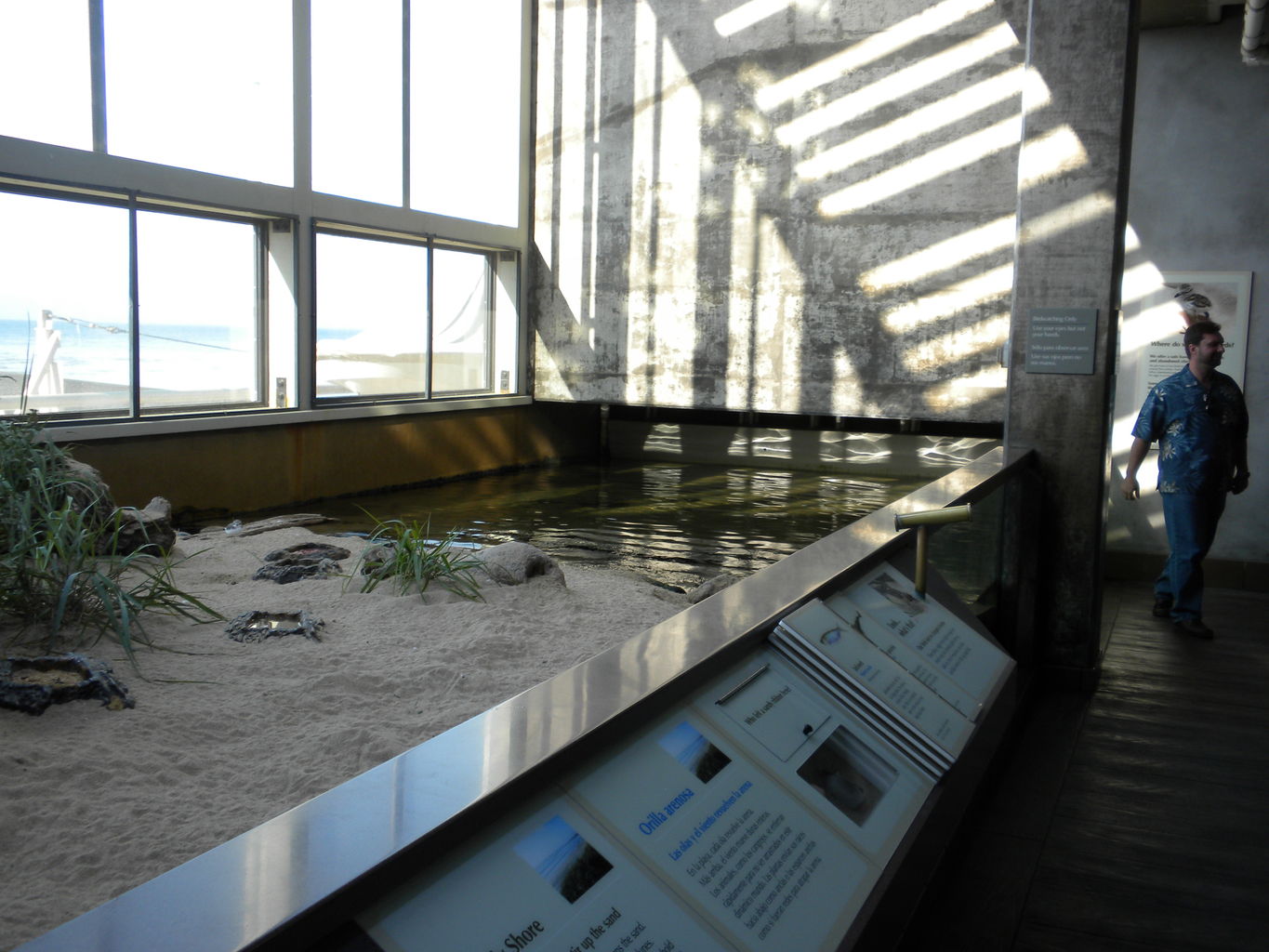 Mike's Trip to Monterey