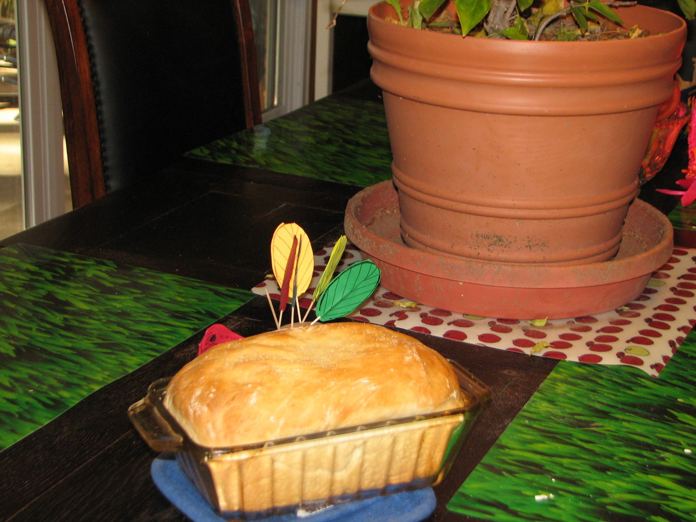 Kachline Family Photos 2009-11-26