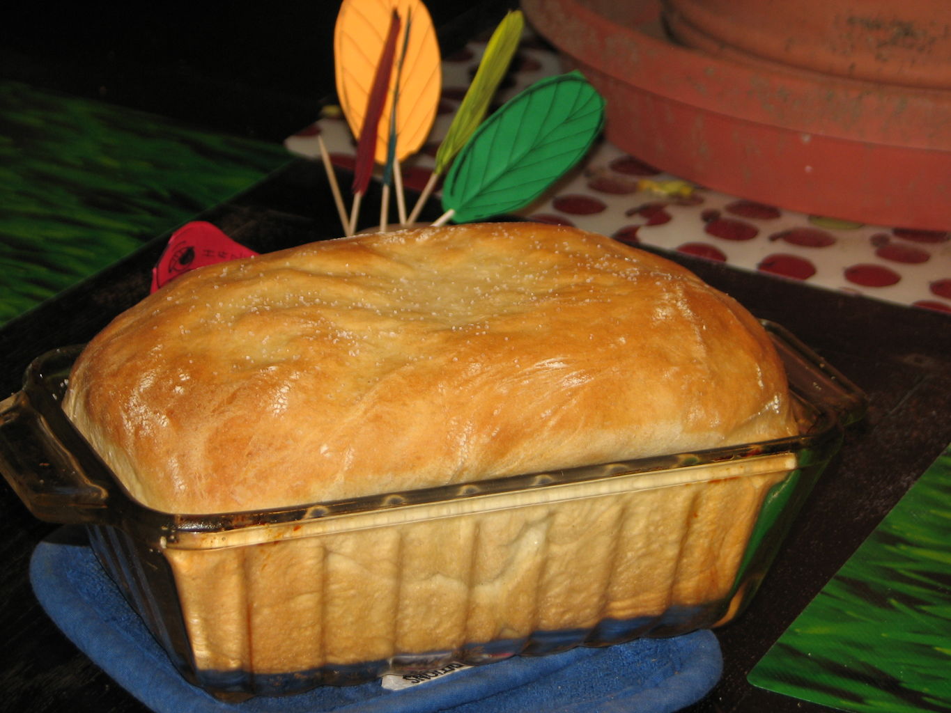 Kachline Family Photos 2009-11-26