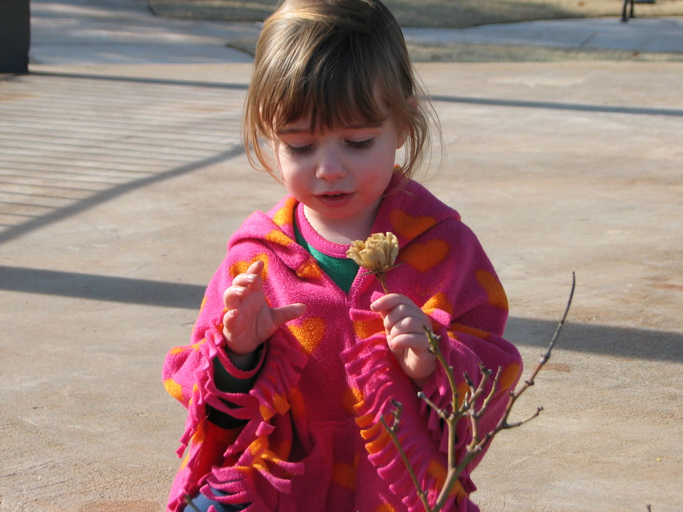2010-01-18
