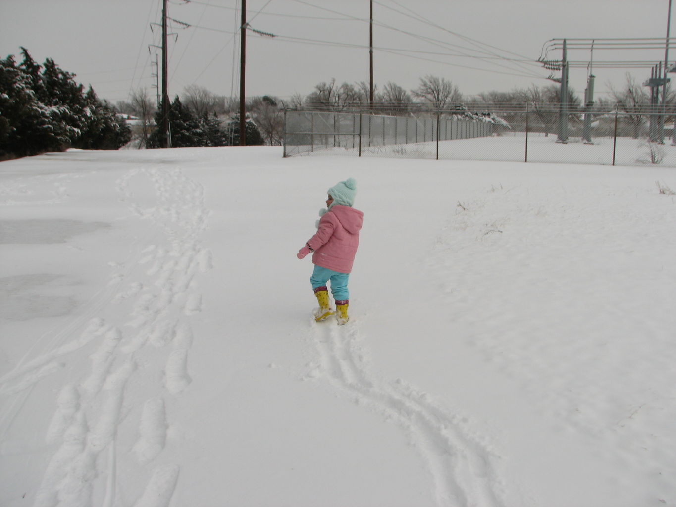 2010-01-30
