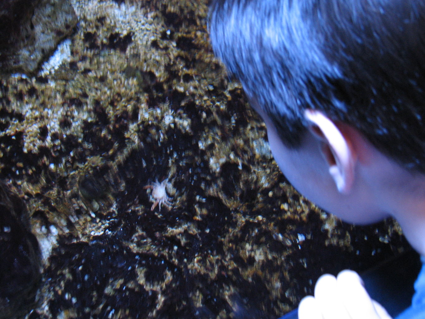 2010-03-16