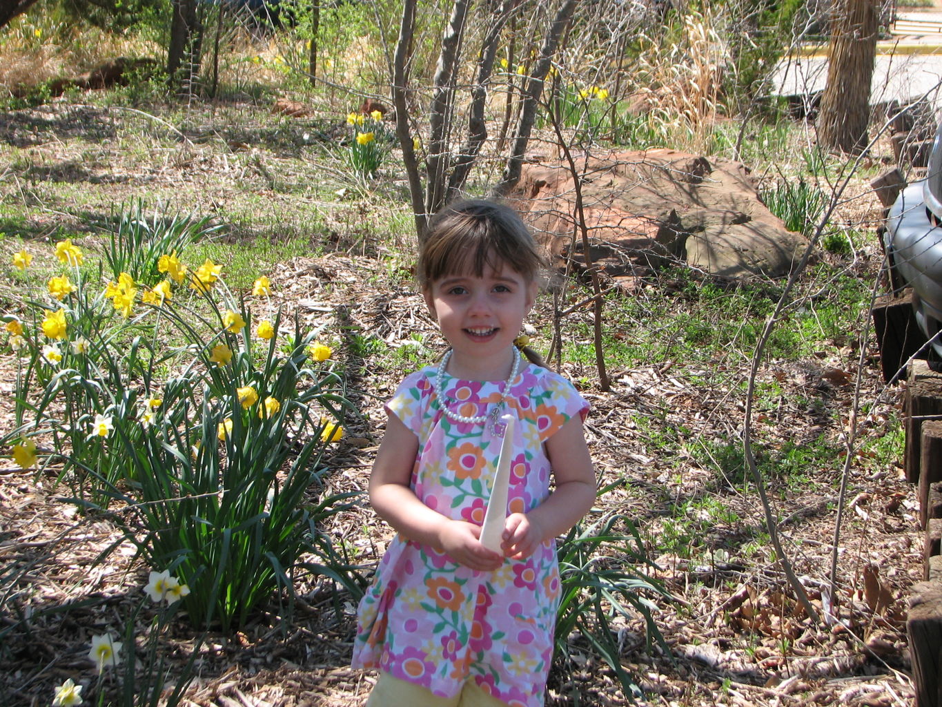 2010-03-29