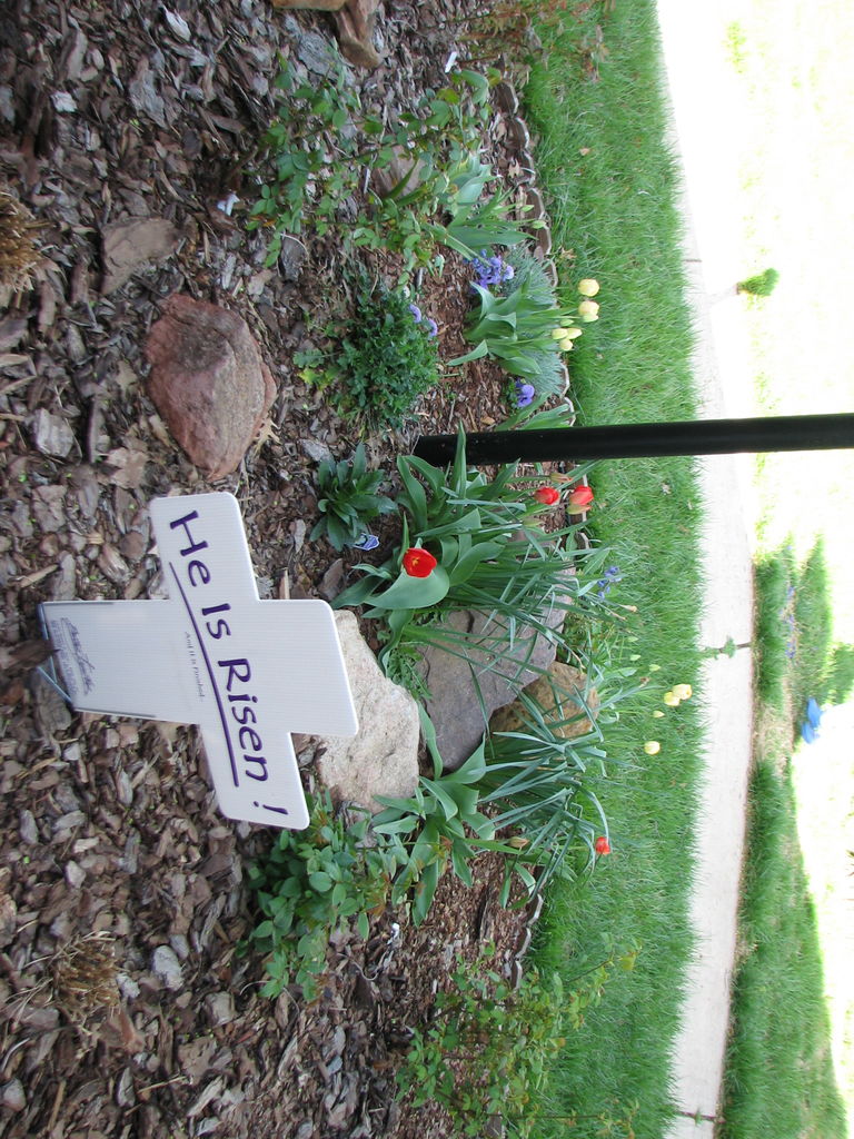 2010-04-02