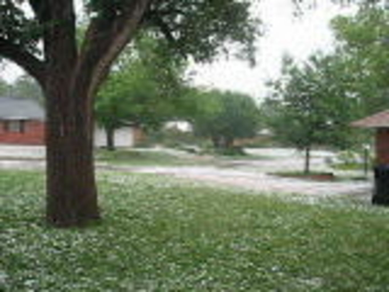 2010-05-16