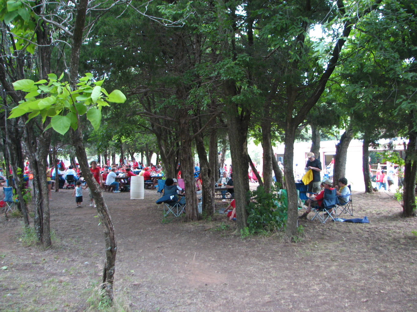 2010-06-11