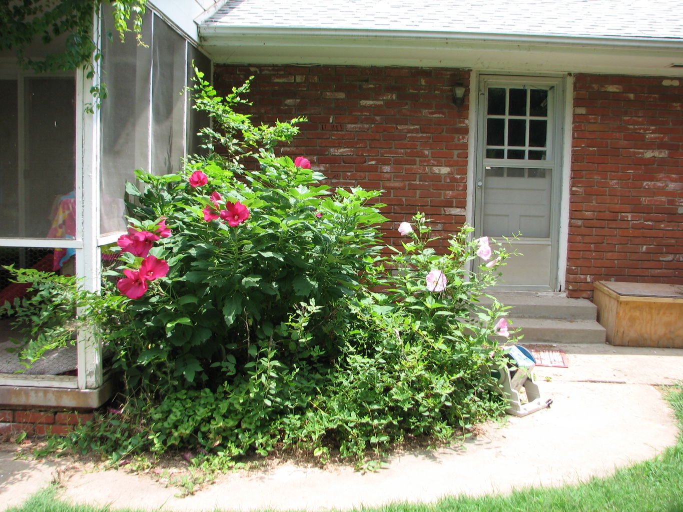 2010-07-02