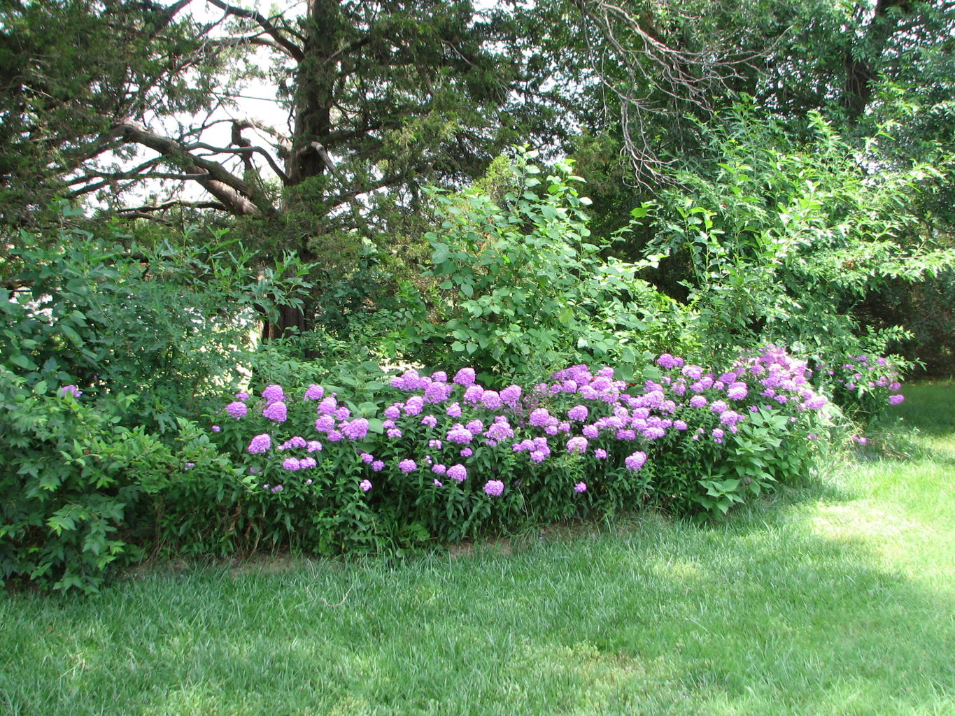 2010-07-02