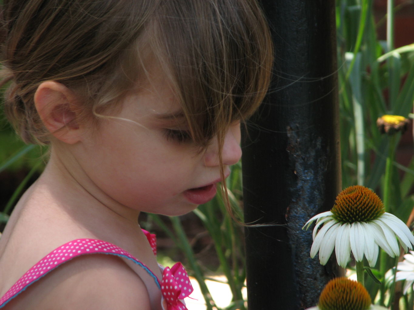2010-07-11