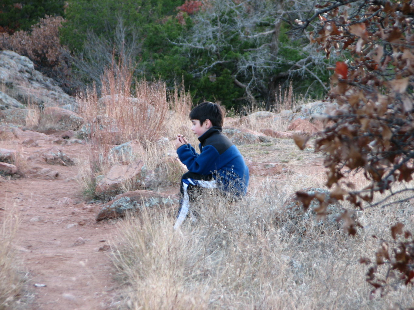 2010-11-26
