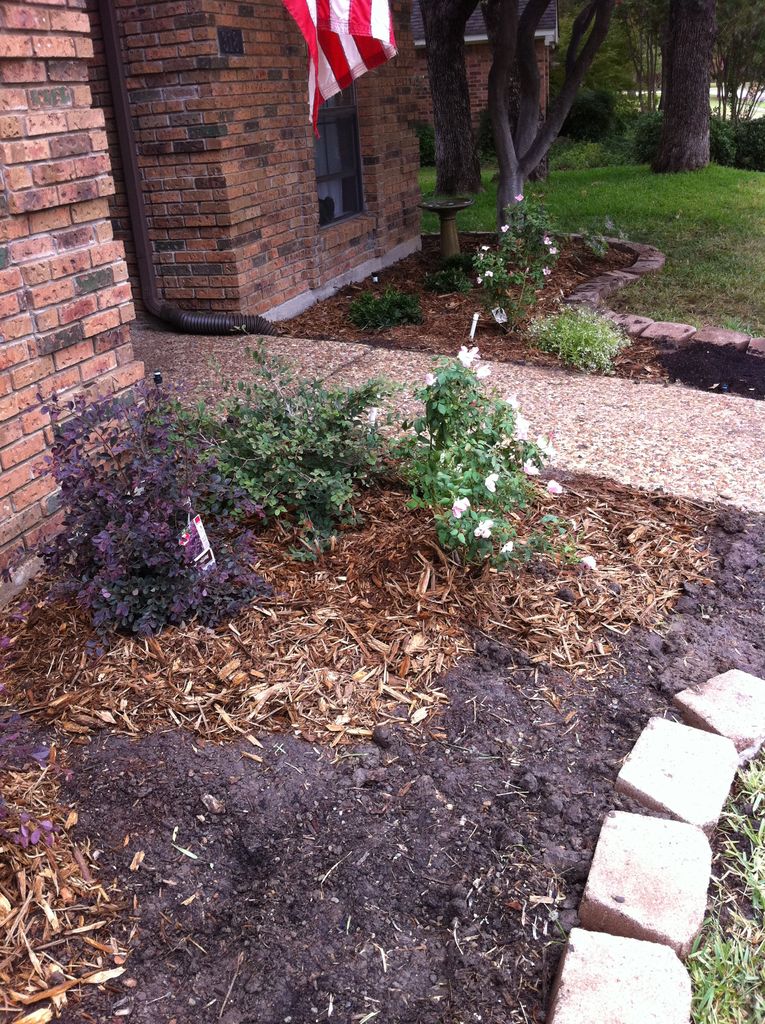 2011-10-10