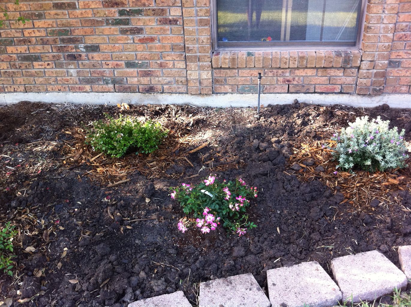 2011-10-10