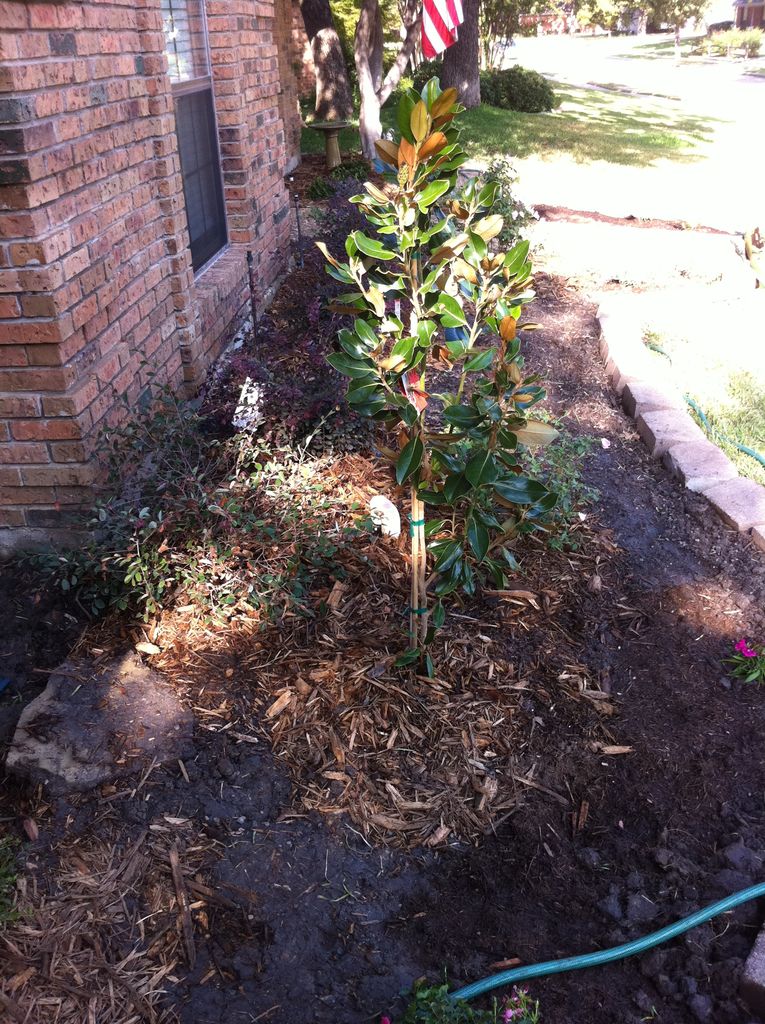 2011-10-10