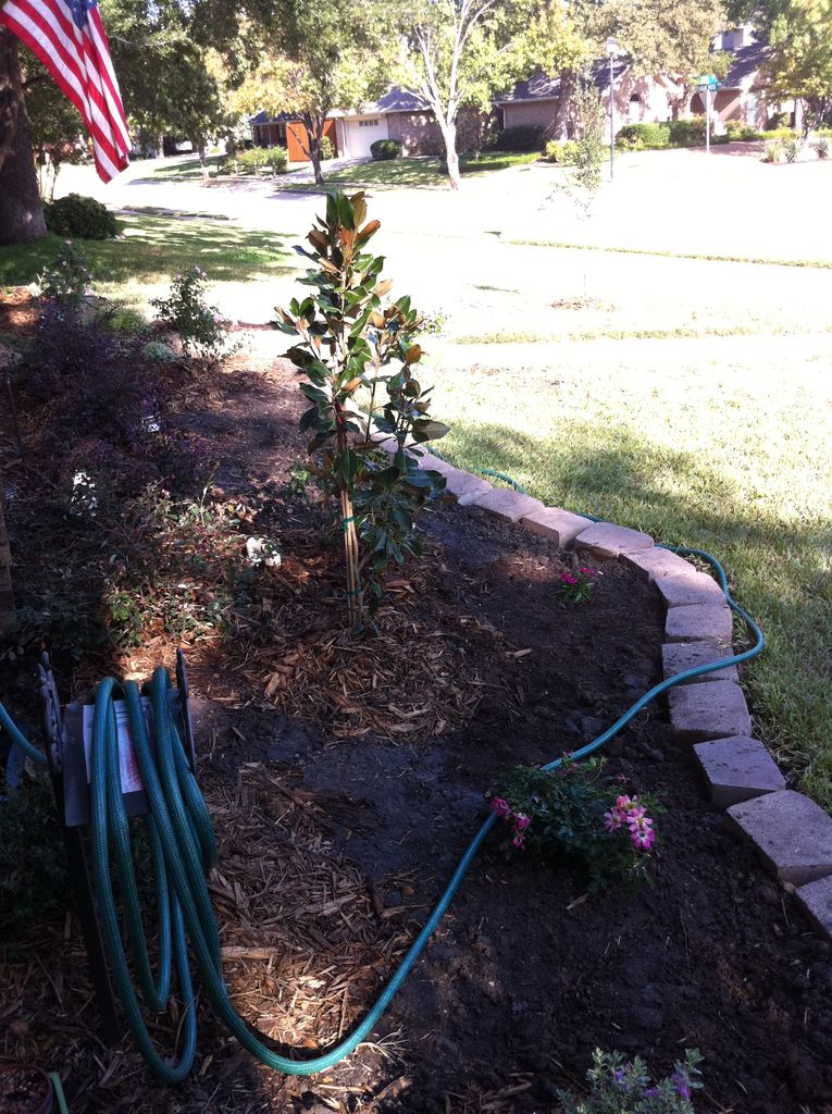 2011-10-10