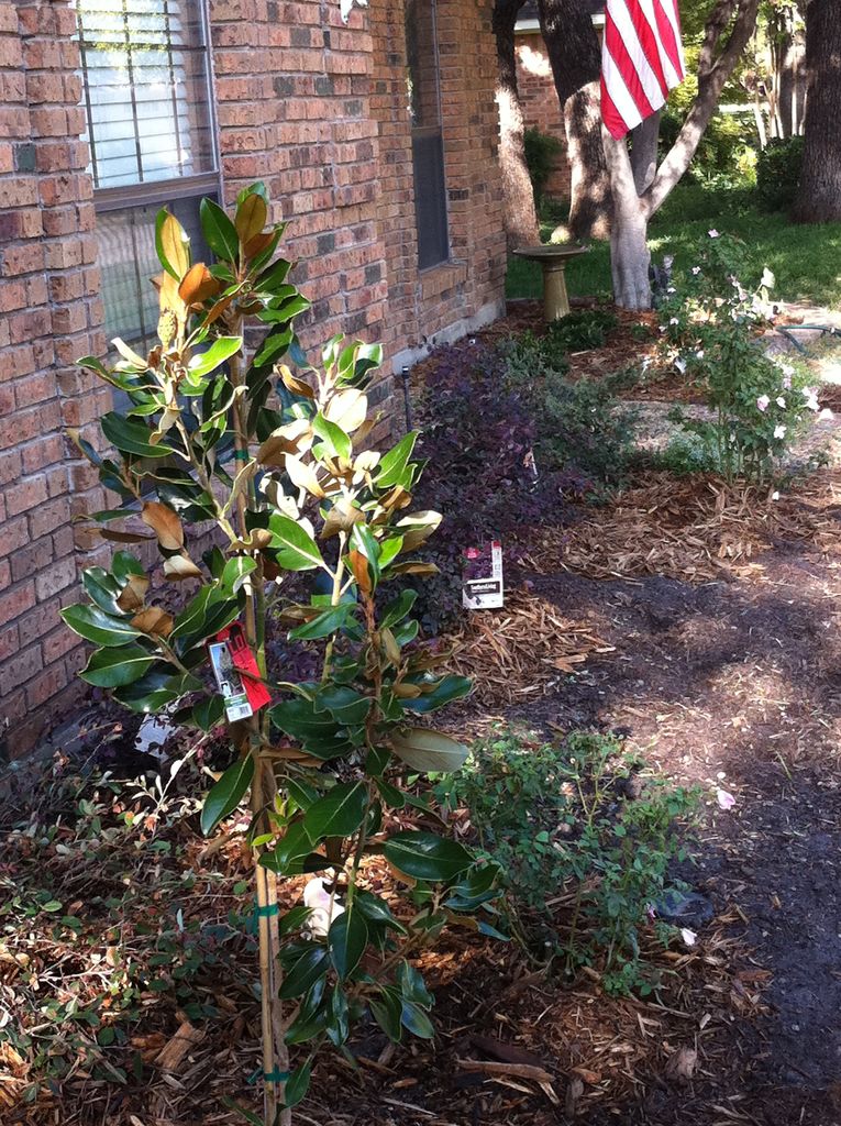 2011-10-10