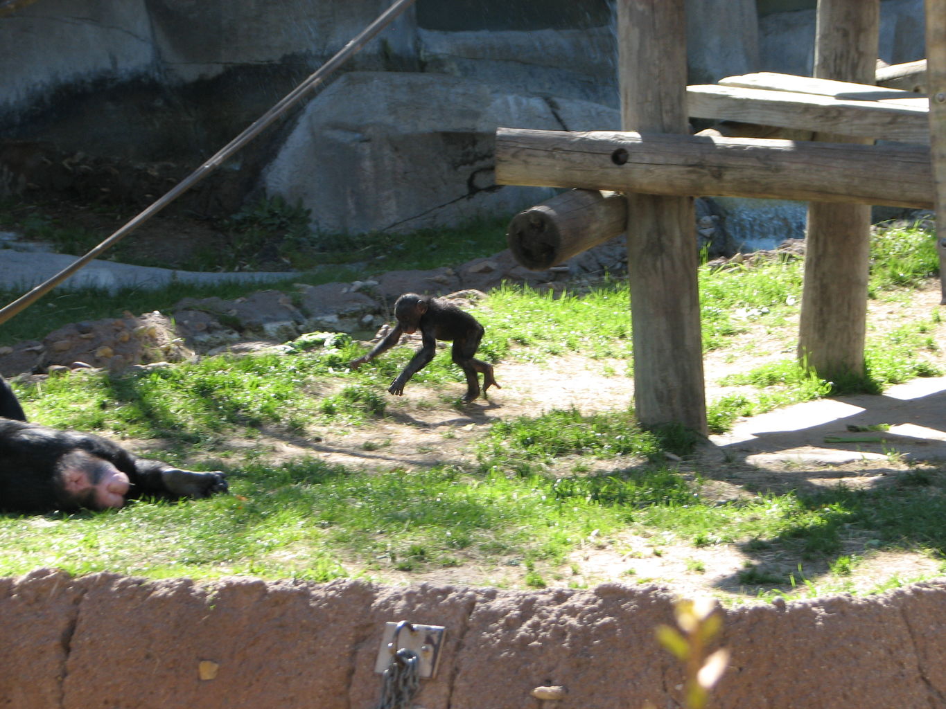 Fort Worth Zoo