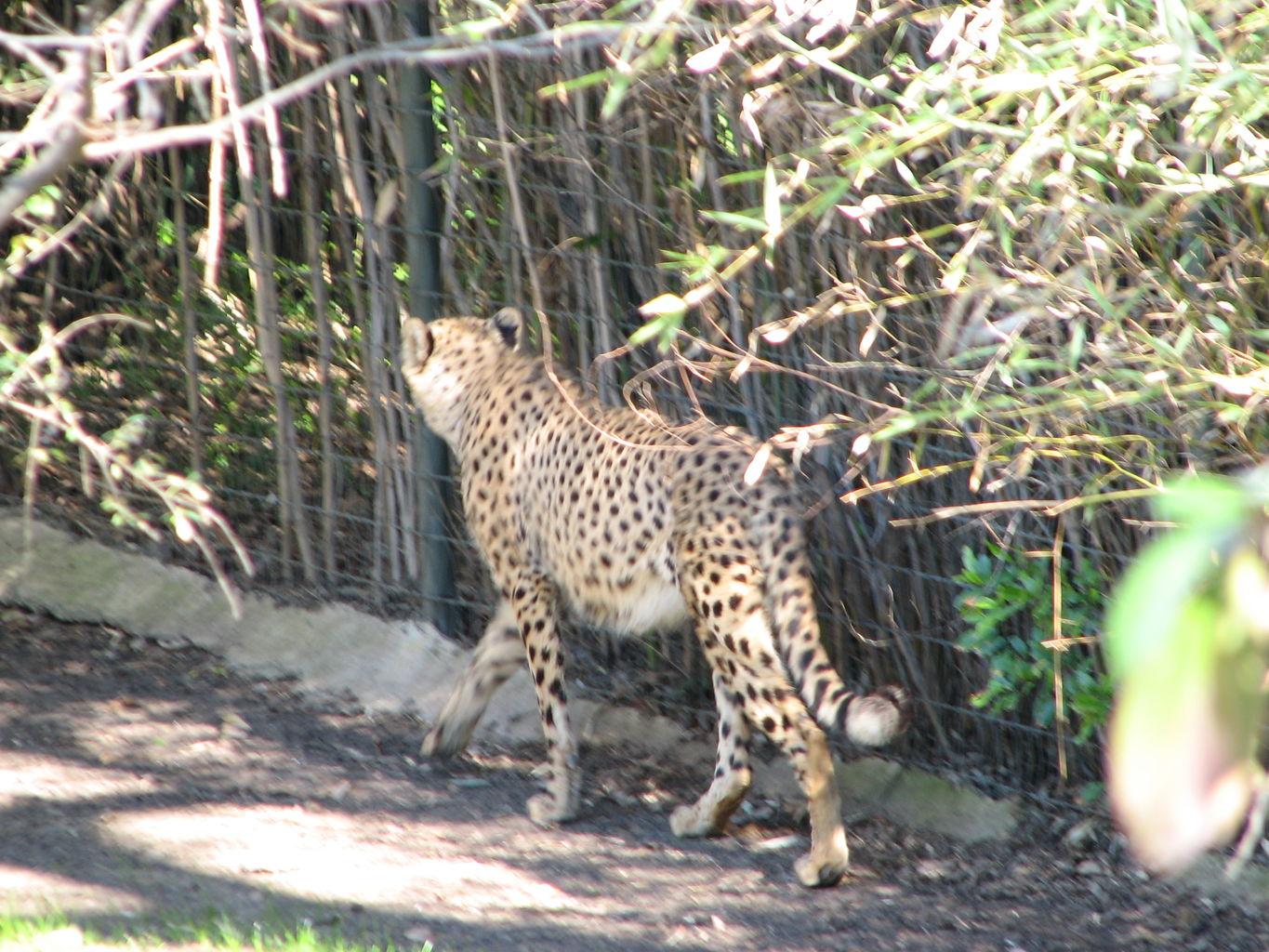 Fort Worth Zoo